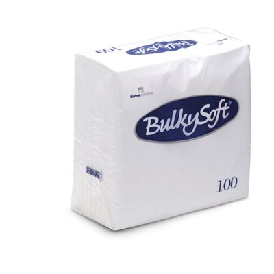 Napkin 2ply 4-Fold Bulkysoft 32990