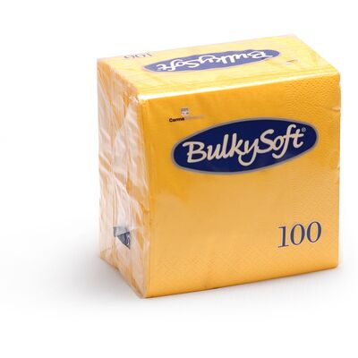 Napkin 2ply 4-Fold Bulkysoft 32410